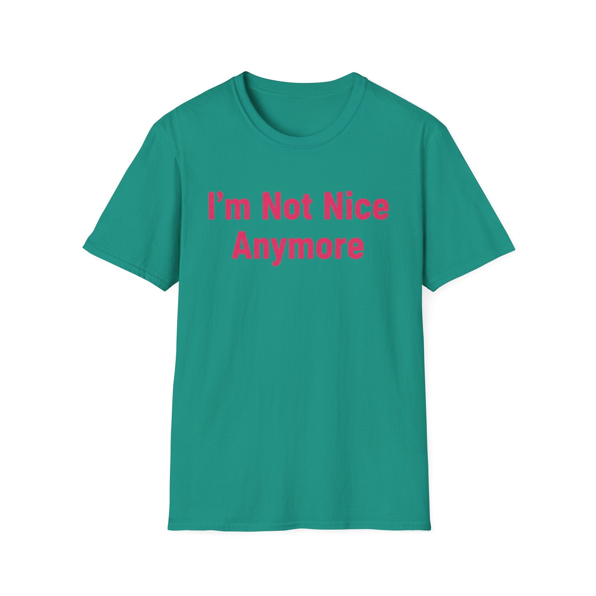 I'm not nice anymore. ((just text)) T-shirt